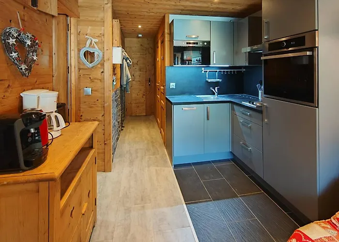 Cosy 4 Pers, Renove Style Montagne, Aux Pieds - Fr-1-545-53 דירה *